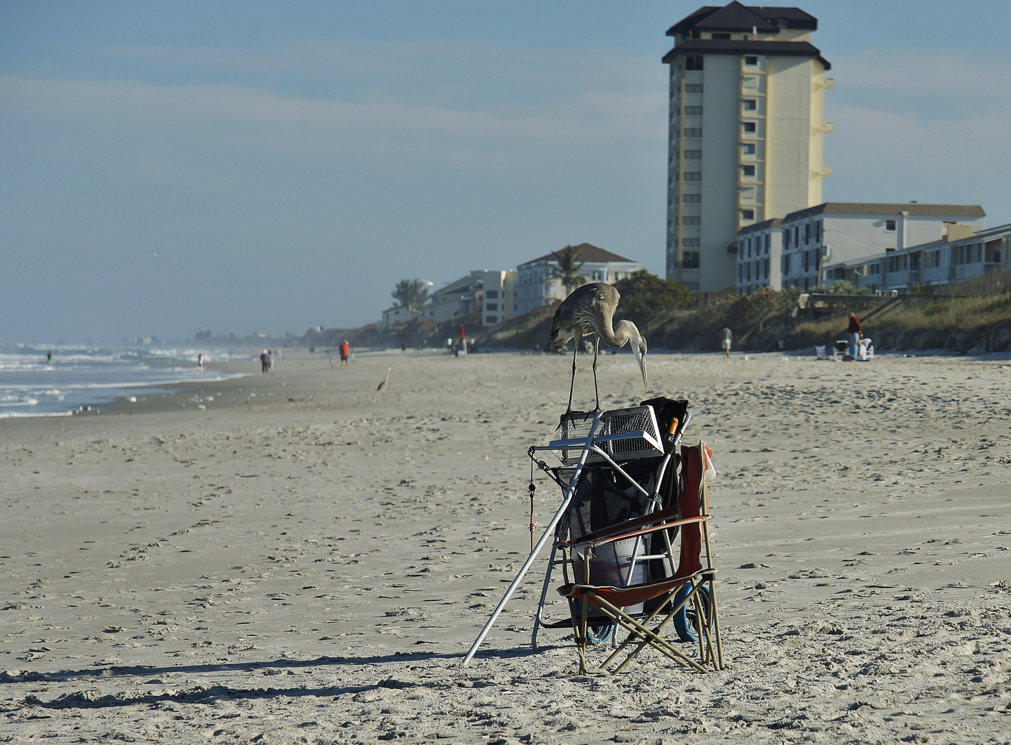 ...Fischdieb am Melbourne Beach