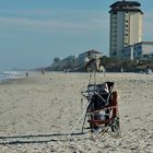 ...Fischdieb am Melbourne Beach