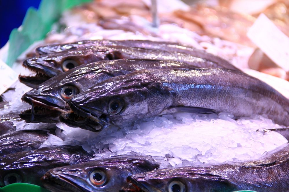 Fische am Markt La Boqueria - Barcelona - Spanien - Mai 2011