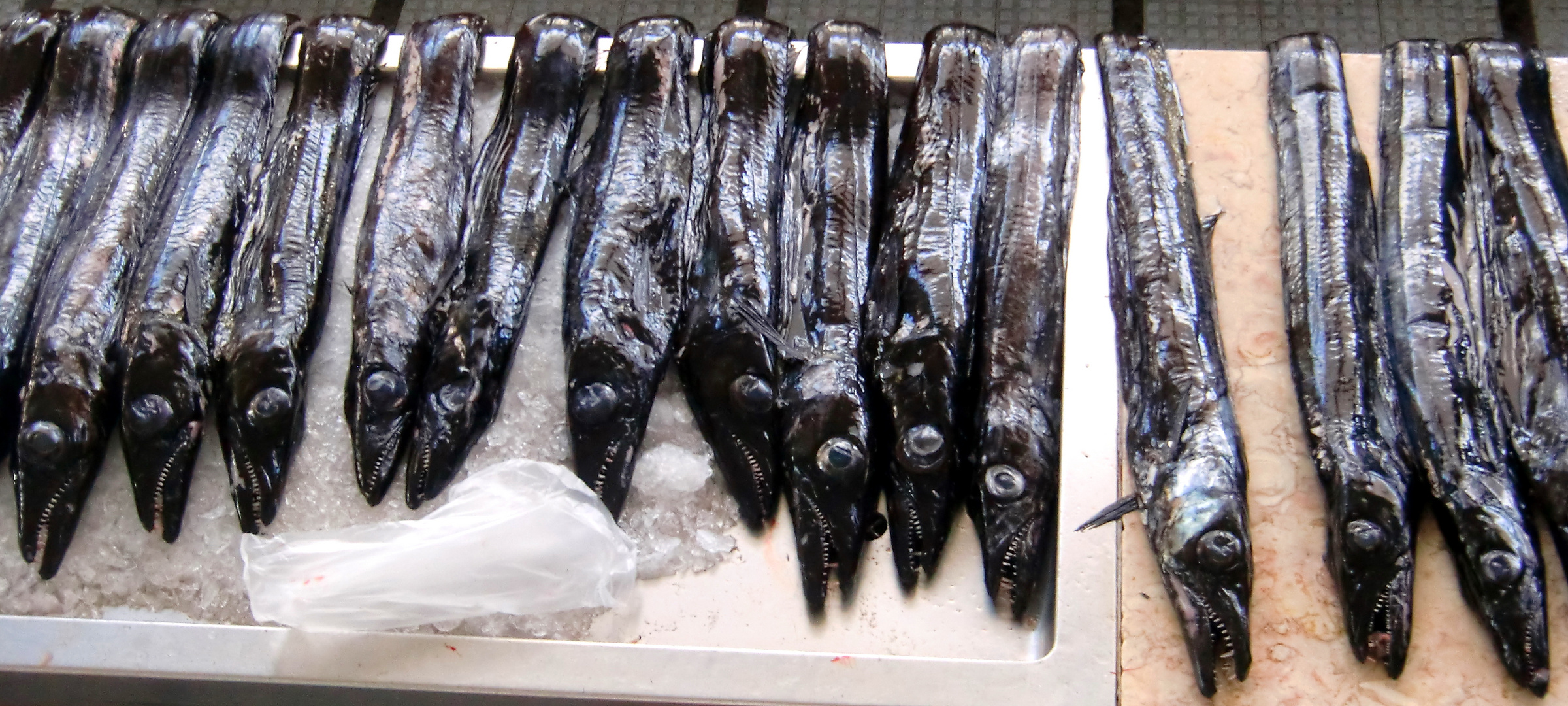 Fische auf dem Markt in Funchal, Madeira