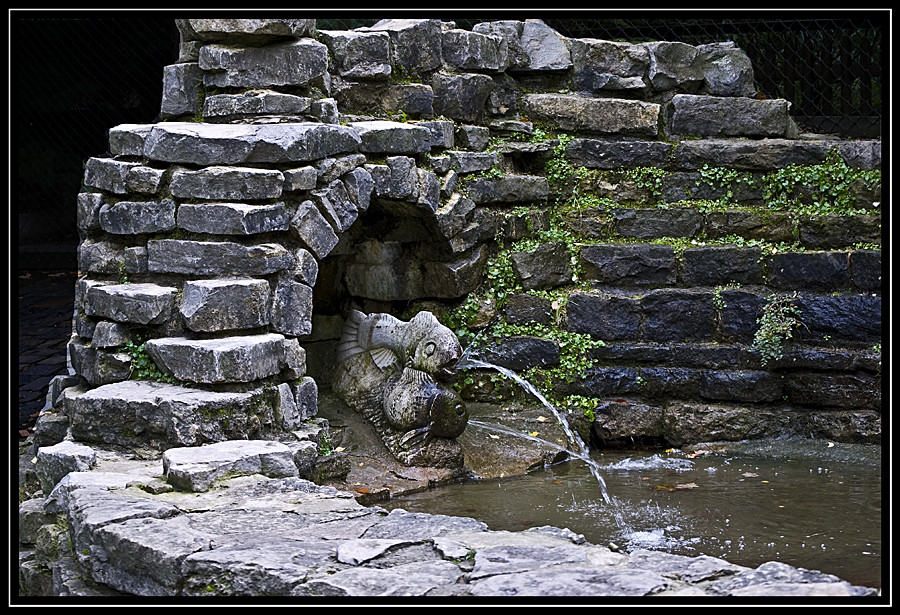 Fische auf dem Trockenem