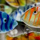 Fische aus Glas