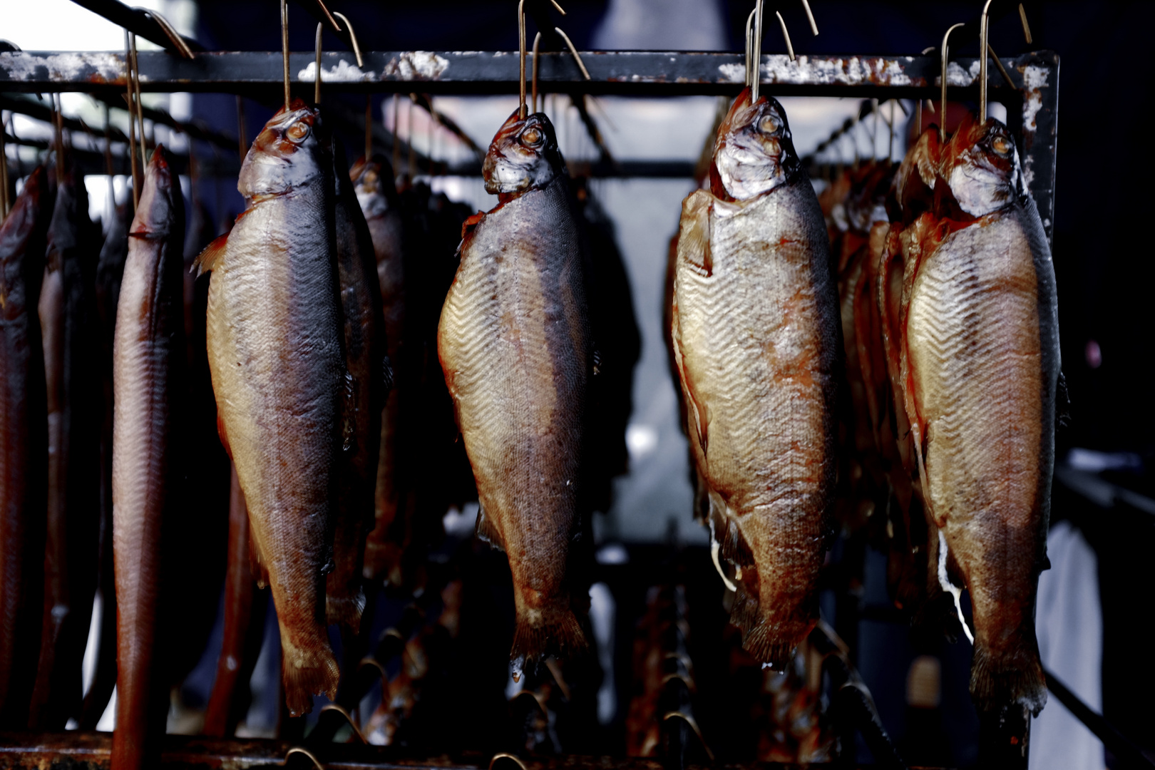 Fische fängt man mit der Angel, Leute mit Worten.