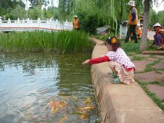 Fische füttern im Park