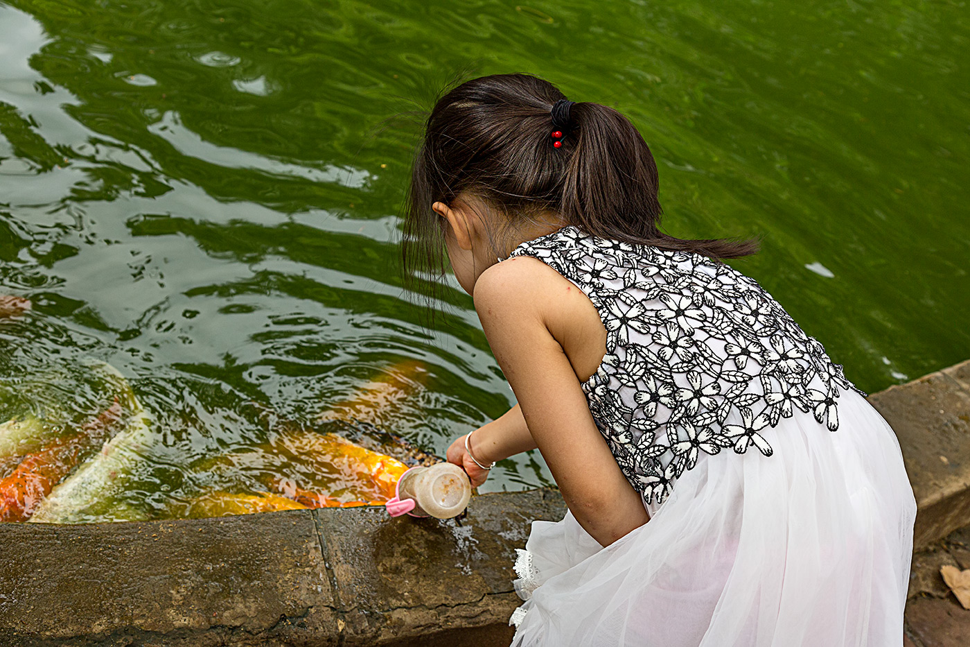 Fische füttern im Park