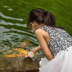 Fische füttern im Park