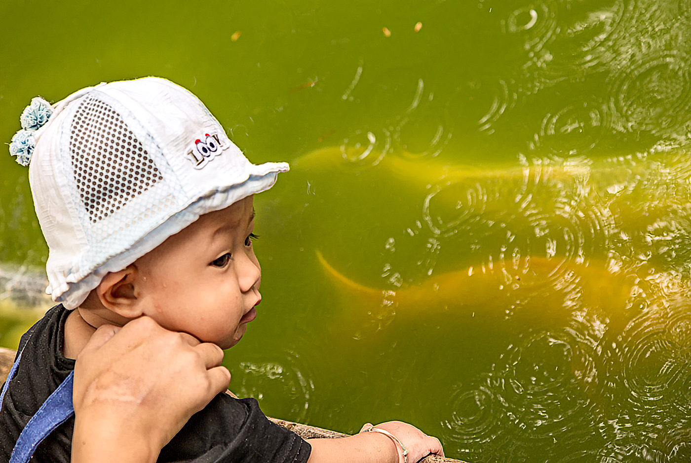 Fische gucken im Park