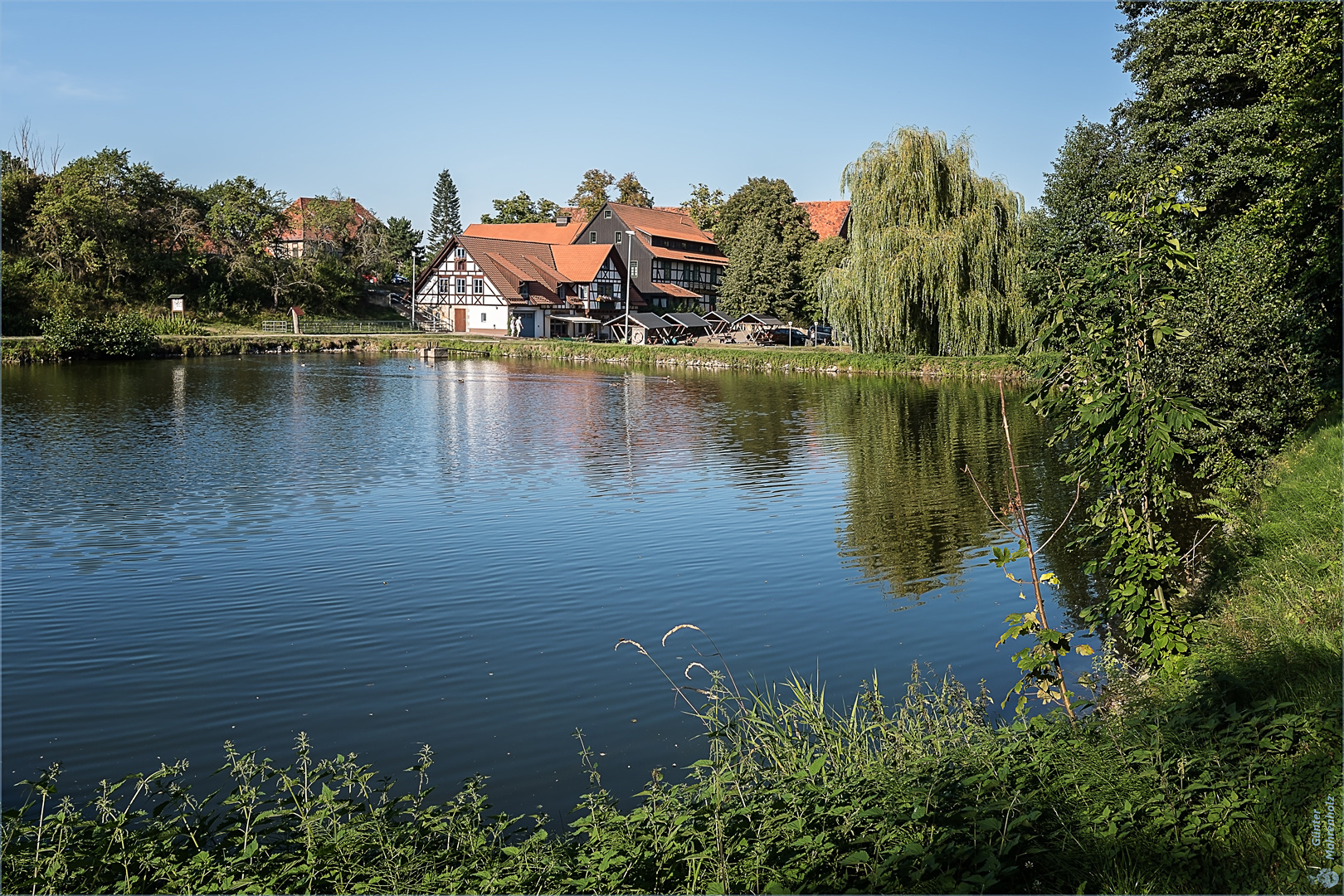 Fische im Teich und auf den Tellern