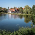 Fische im Teich und auf den Tellern