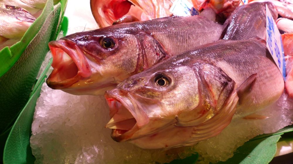 Fische in Barcelona - Mercat de la Boqueria