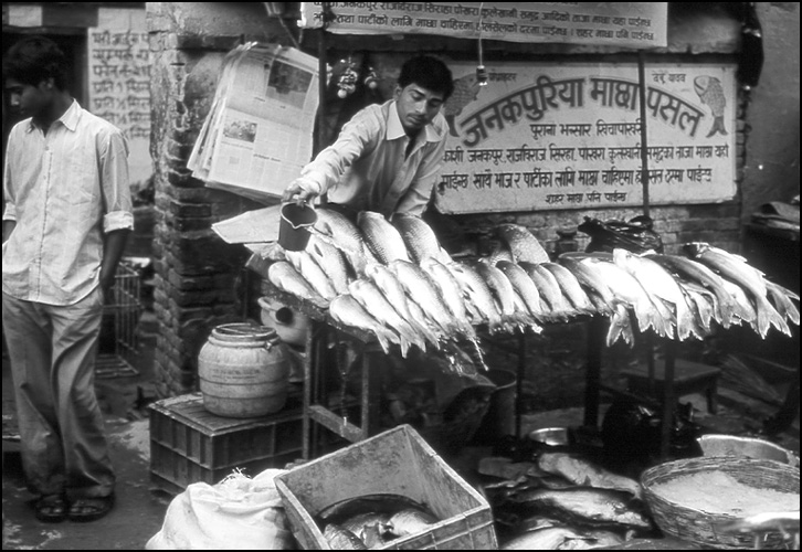 fische in nepal