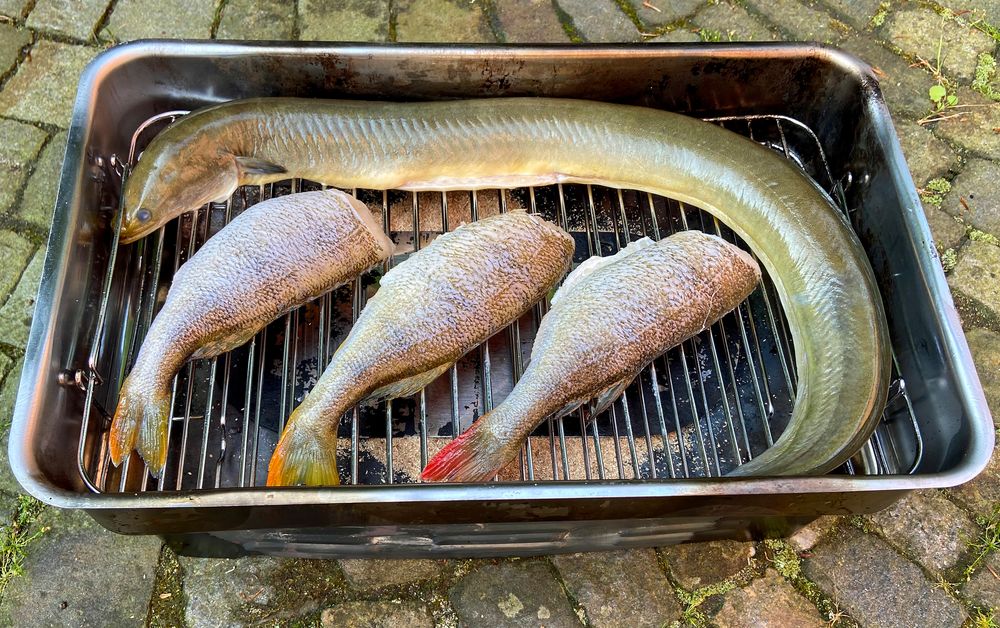 Fische räuchern Foto &amp; Bild | world, natur, stillleben Bilder auf ...