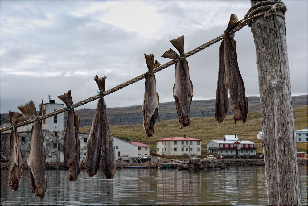 Fische trocknen...