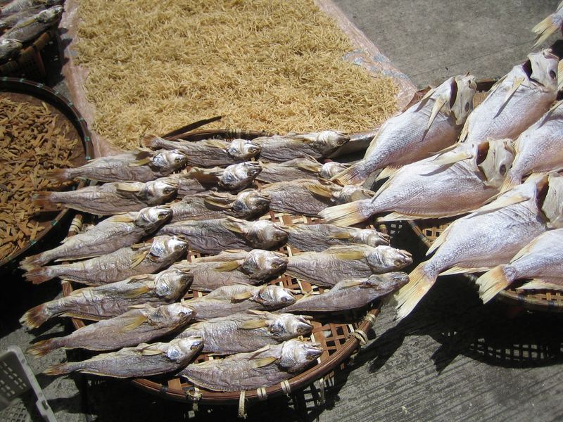 Fische trocknen in Macao