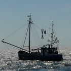 Fischekutter auf dem Wattenmeer (NL)