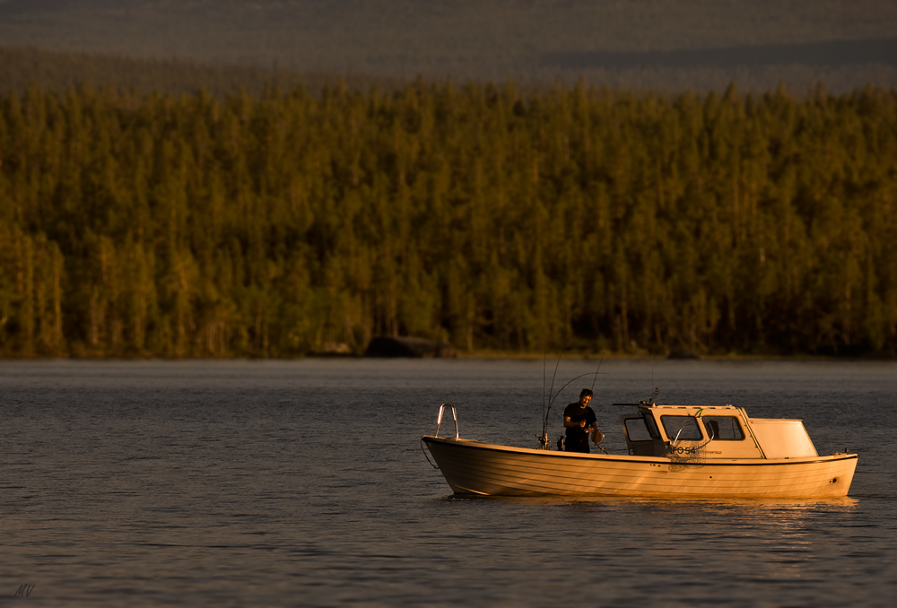 Fischen am Abend in Lappland