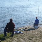 Fischen am Rhein im goldenen Oktober