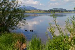 Fischen auf dem Hopfensee