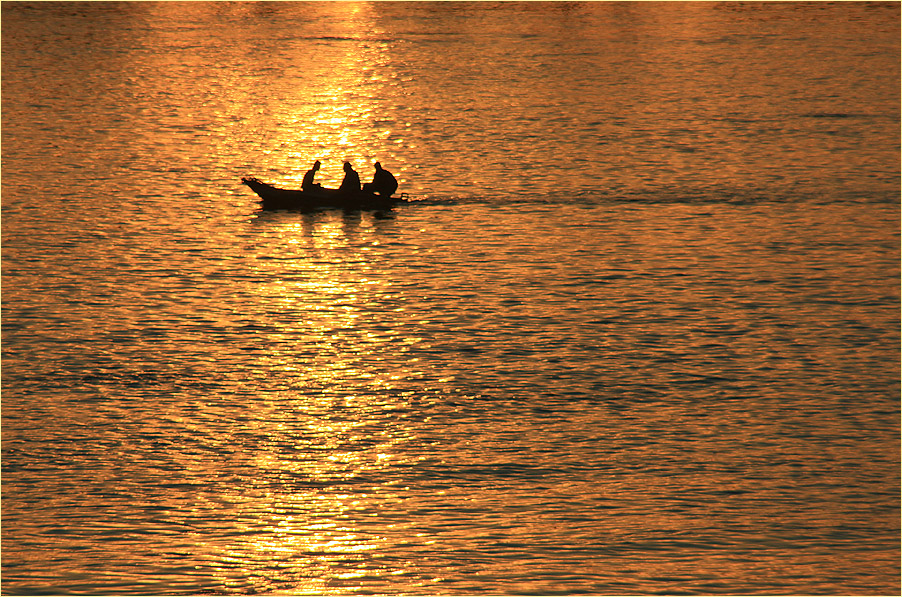 Fischen im Goldwasser