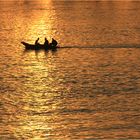 Fischen im Goldwasser