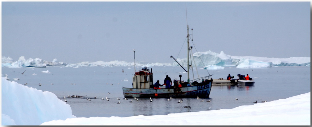 Fischen im Ilulissat Fjord
