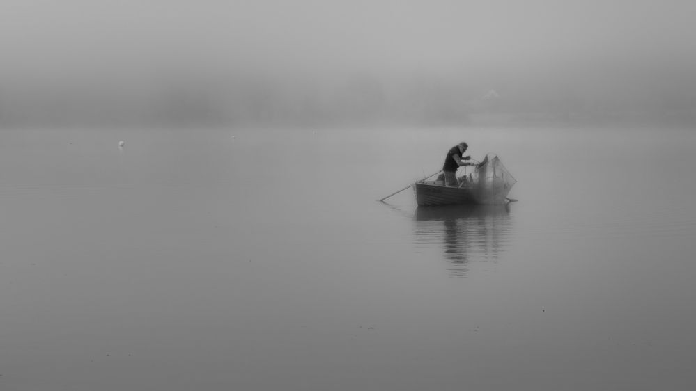 Fischen im Nebel..