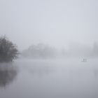 Fischen im Nebel