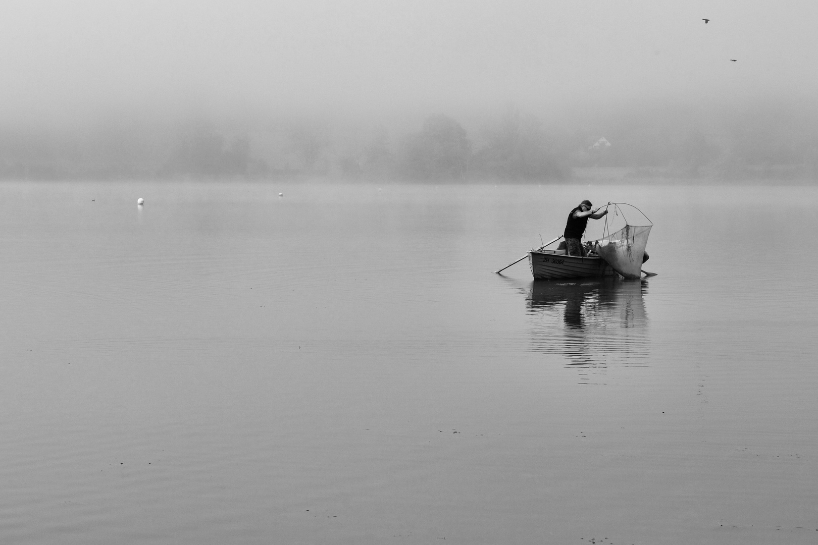 Fischen im Nebel.