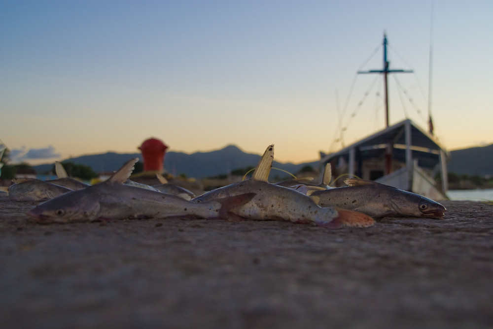 Fischen im Sonnenuntergang in Juangriego, Isla Margarita, Venezuela