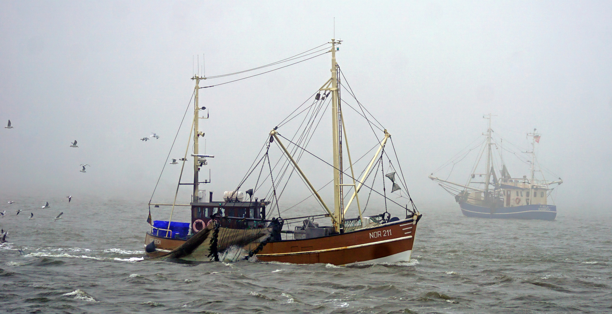 Fischen im Trüben