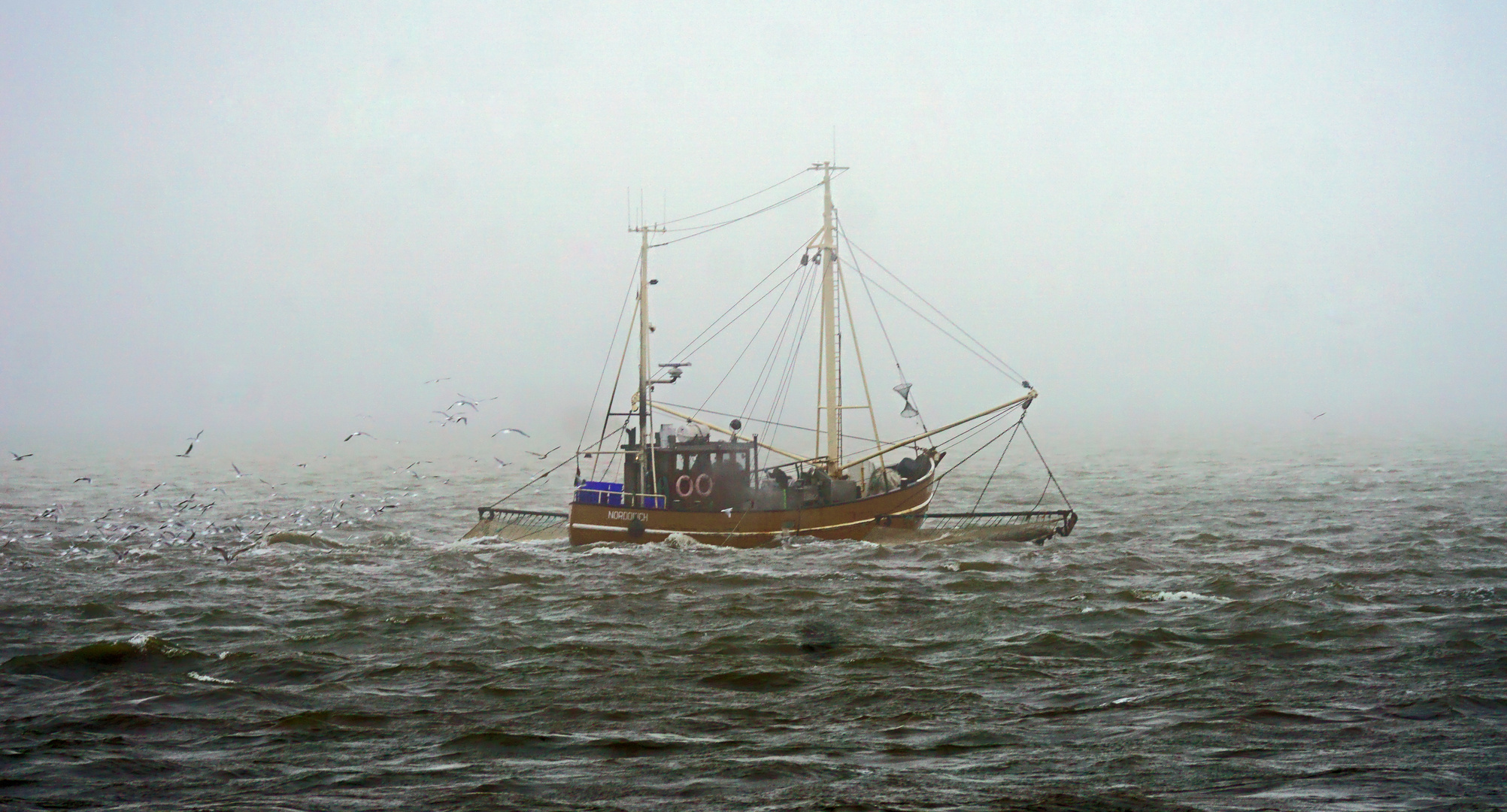 Fischen im Trüben