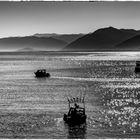 Fischen in der Jackson Bay - NZ