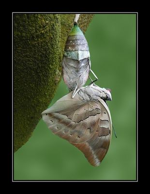 Fischen in fremden Gewässern