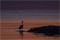 Fischen nach Sonnenuntergang