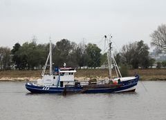 Fischen neben der Fahrrinne auf der Weser