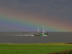 Fischen unterm Regenbogen