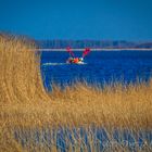 Fischer am Bodstedter-Bodden