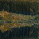 Fischer am Herbstlichen Teich 