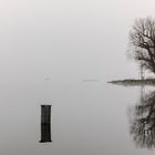 Fischer am Pfäffikersee im spätherbstlichen Nebel