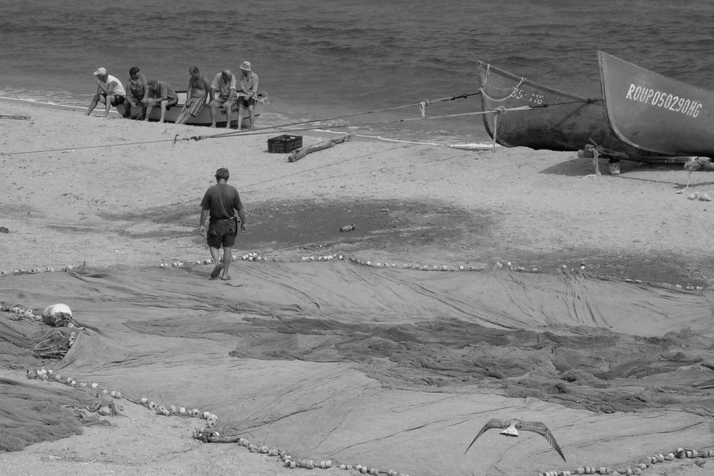 Fischer am schwarzen Meer mit Möve