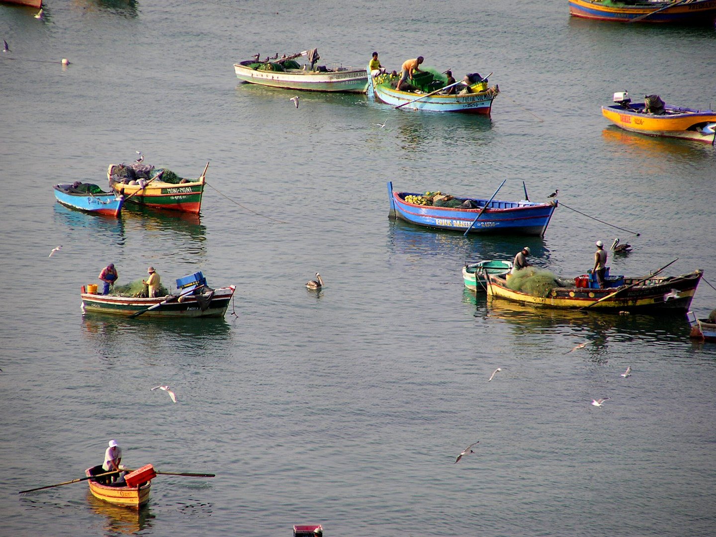 Fischer am Strand bei Lima in Peru