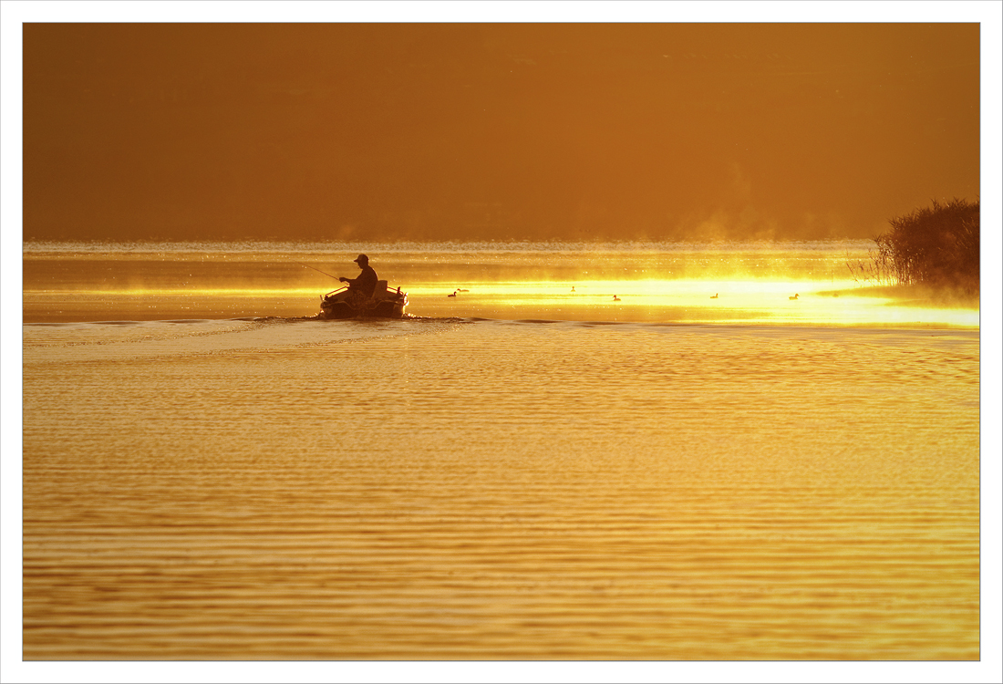 Fischer am Wallersee ... 08.2013