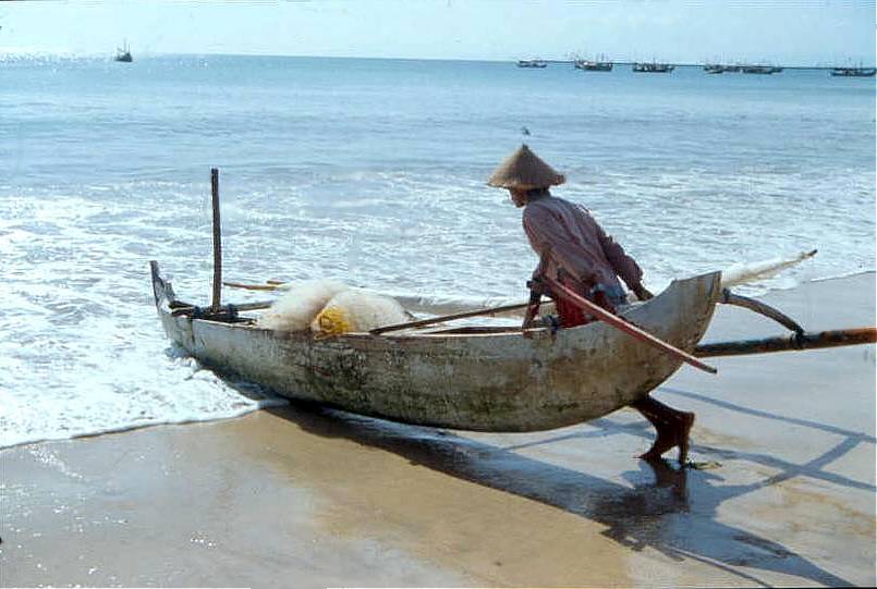" Fischer auf Bali"