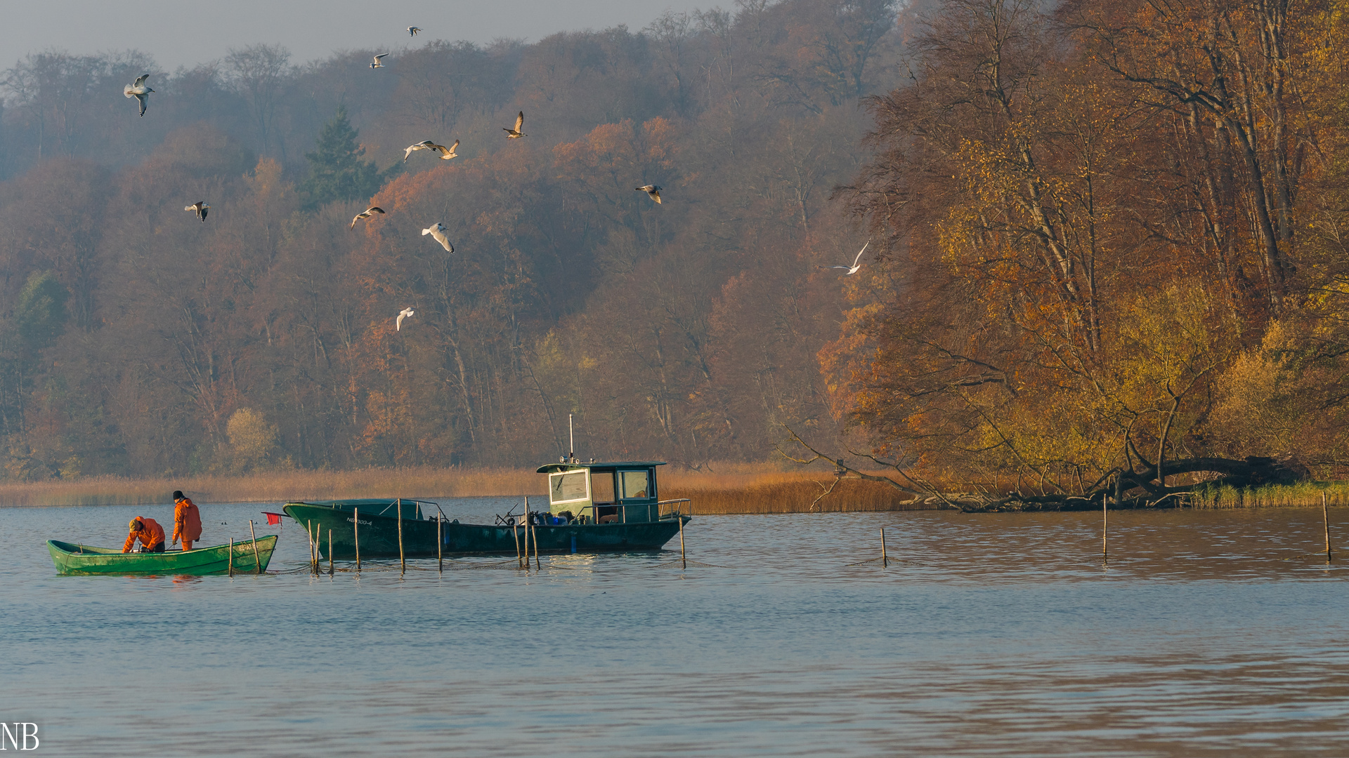 "Fischer auf dem Neubrandenburger Tollensesee 2022"