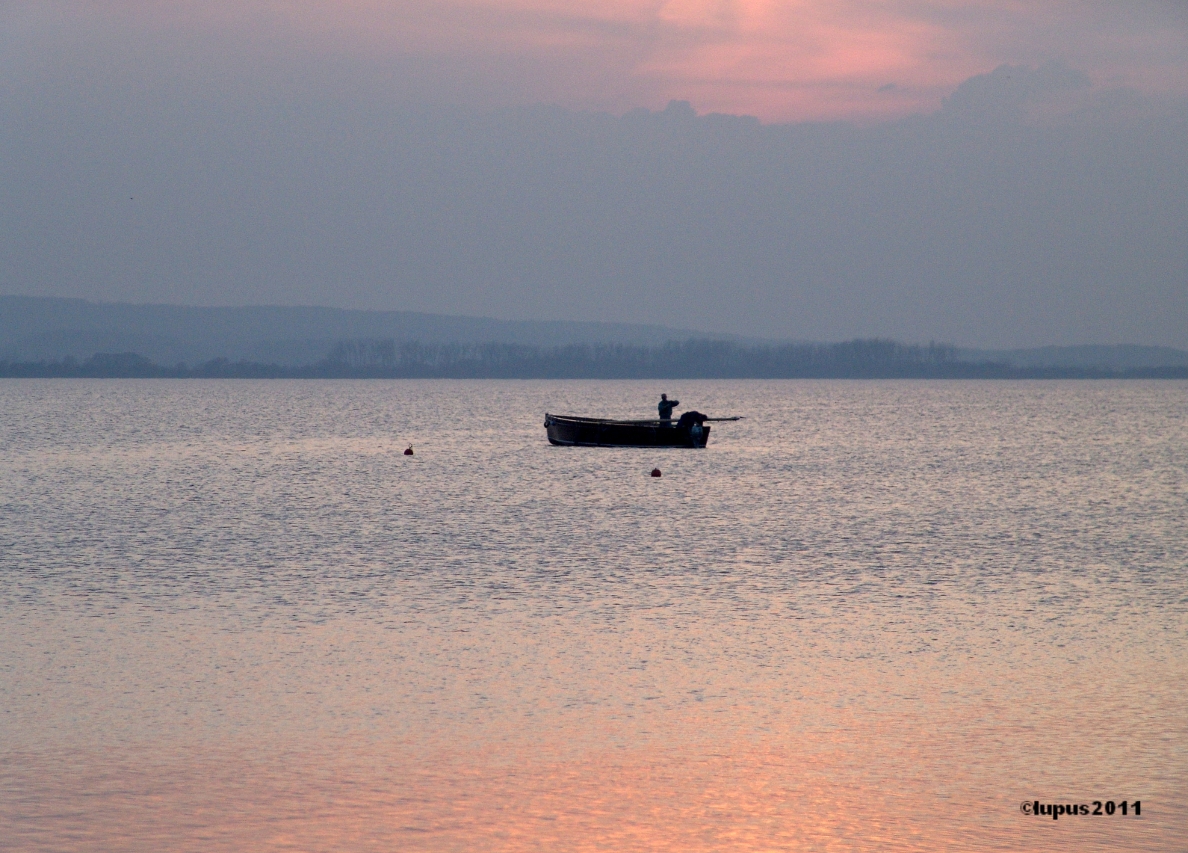 fischer auf dem steinhuder meer