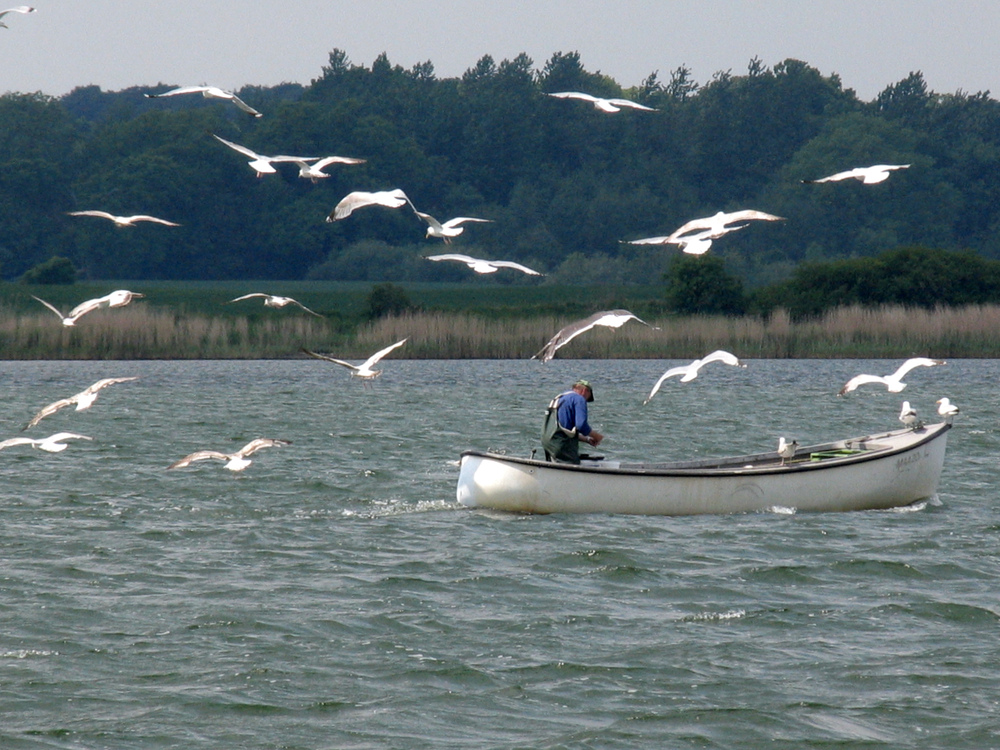 Fischer auf der Schlei bei Maasholm.