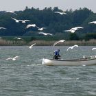 Fischer auf der Schlei bei Maasholm.