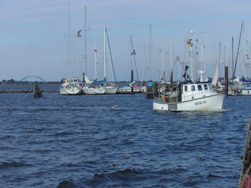 Fischer auf Fehmarn