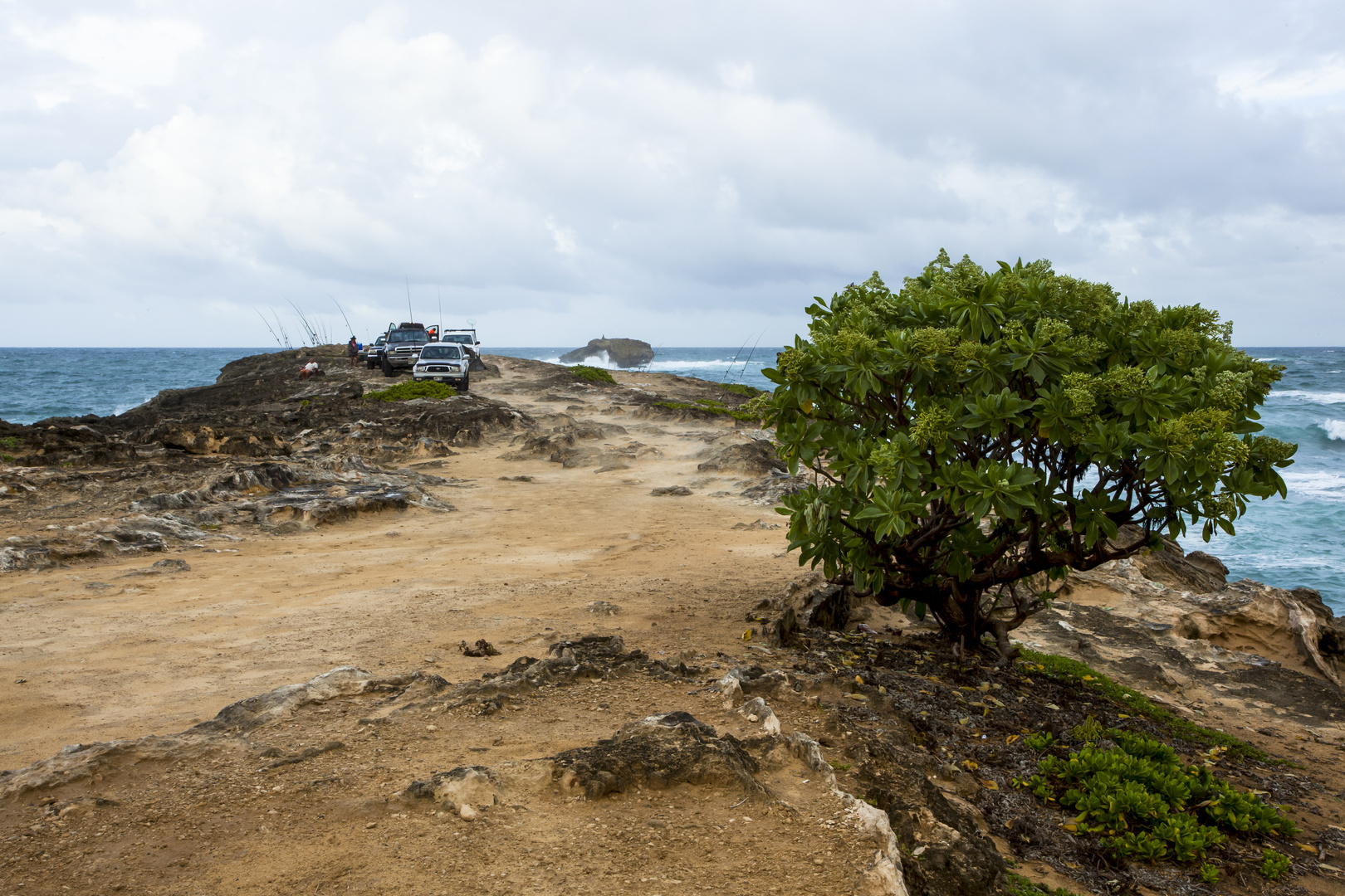 Fischer auf Oahu