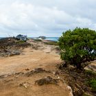 Fischer auf Oahu